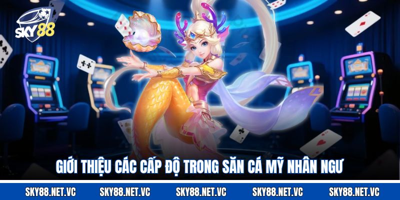 Giới thiệu các cấp độ trong săn cá Mỹ Nhân Ngư
