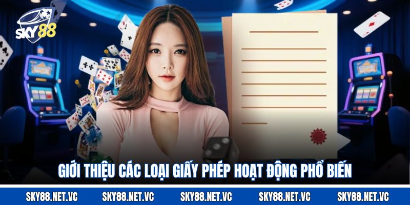 Giới thiệu các loại giấy phép hoạt động phổ biến 