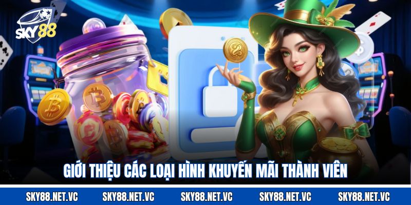 Giới thiệu các loại hình khuyến mãi thành viên 