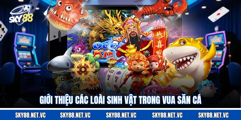Giới thiệu các loài sinh vật trong vua săn cá