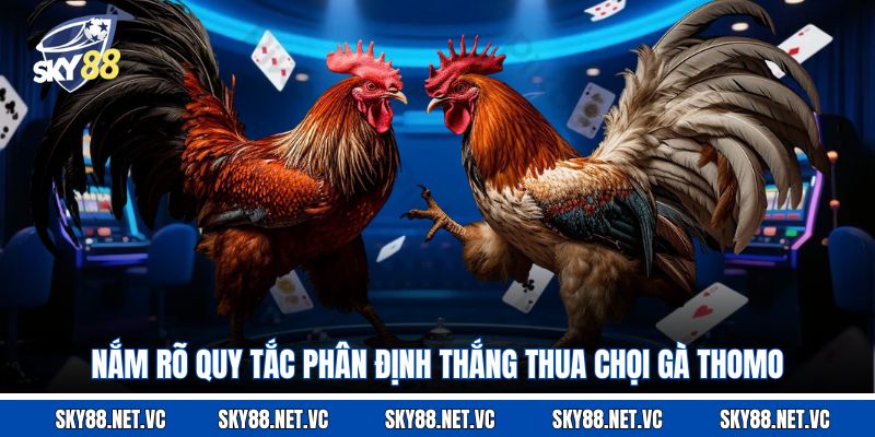 Nắm rõ quy tắc phân định thắng thua chọi gà Thomo
