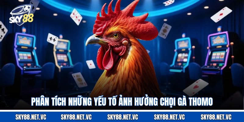 Phân tích những yếu tố ảnh hưởng chọi gà Thomo