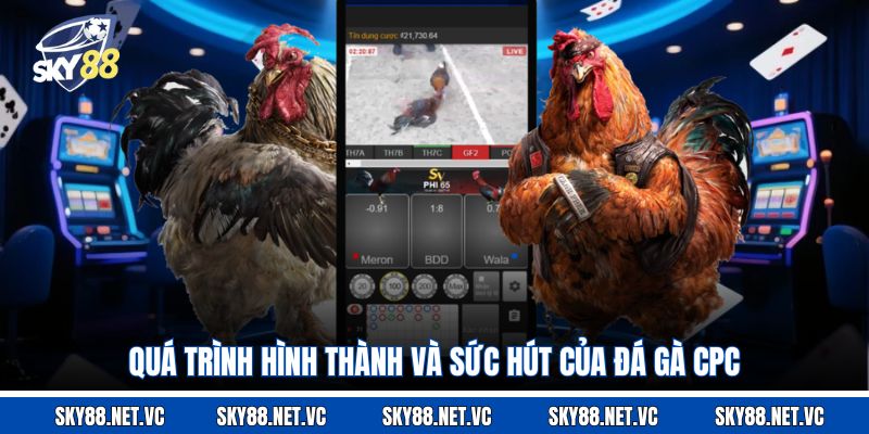 Quá trình hình thành và sức hút của đá gà CPC
