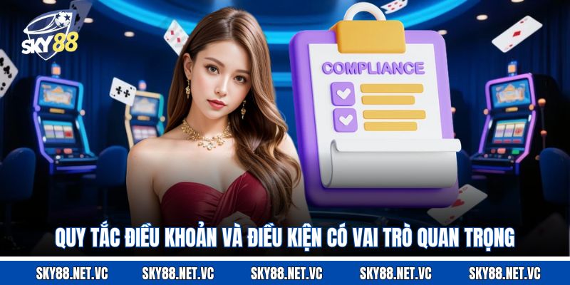 Quy tắc điều khoản và điều kiện có vai trò quan trọng