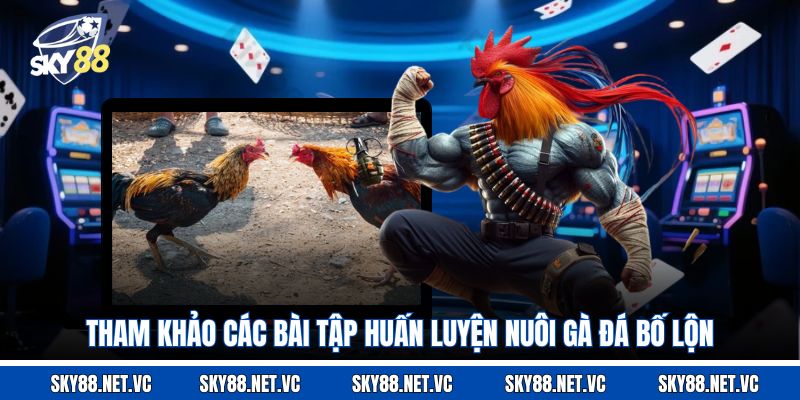Tham khảo các bài tập huấn luyện nuôi gà đá bố lộn